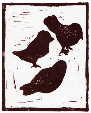 Birds of the Forest